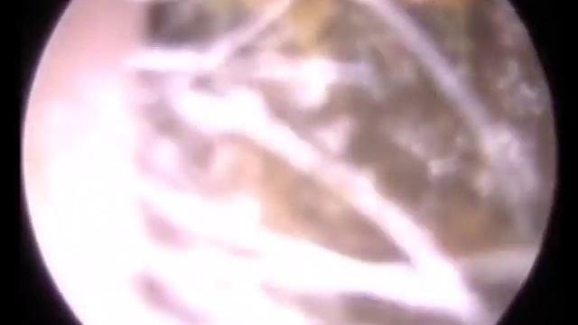 Сделай Сам для Здоровья