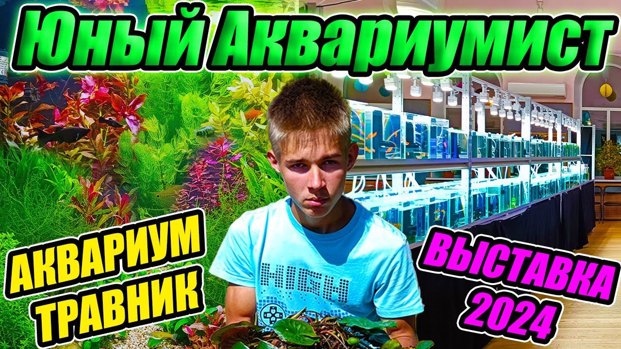 Выставка аквариумных рыбок 2024. Аквариум травник Юного Аквариумиста смотреть онлайн