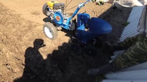 Картофелесажалка КСМБ-1 на мотоблок Нева. Посадка.