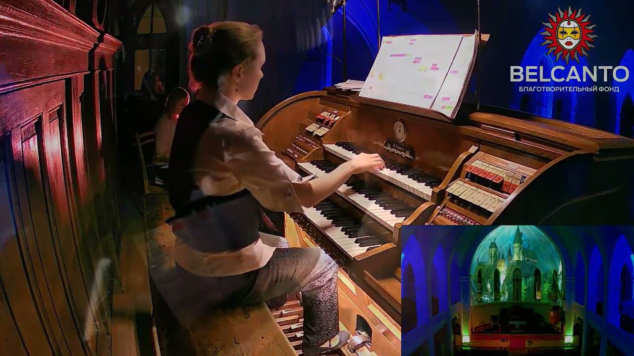 Органный мир фэнтези Гарри Поттер и Дары смерти смотреть онлайн