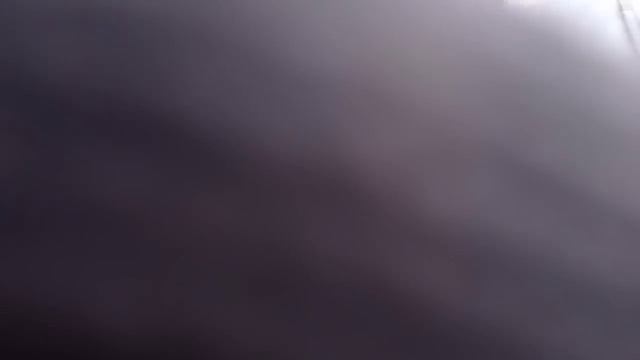 Петля на зайца. Разведка, поиск следов, установка силков смотреть онлайн