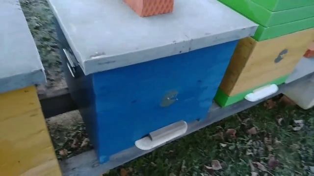 Теплопроводность Ульёв(ППС и Дерево)!!! смотреть онлайн