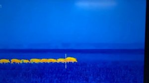 MRKJ/ thermal imaging rifle scope with 35mm lens night vision scope for soppting outdoor hunting