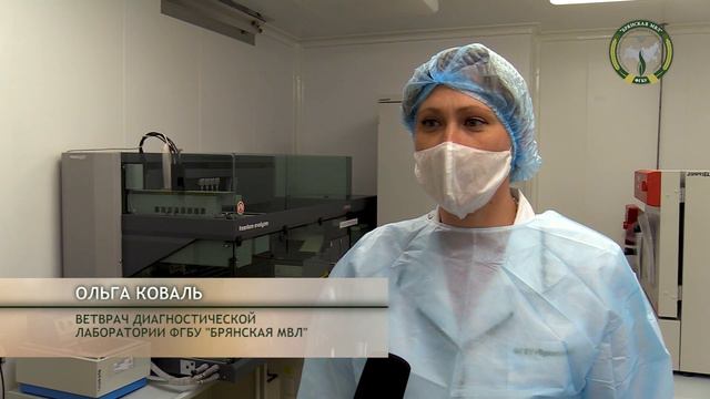 Была ли вакцинация птицы эффективной? смотреть онлайн