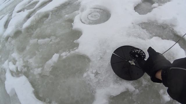 Озернинское водохранилище. Лещ и плотва смотреть онлайн