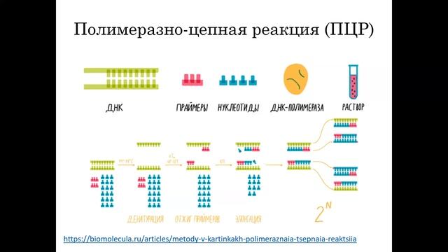 Семестр 3. Лекция 2 смотреть онлайн