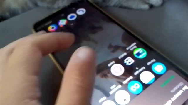 Кошка Сара и телефон. Ритусины истории. Сара 2023. смотреть онлайн