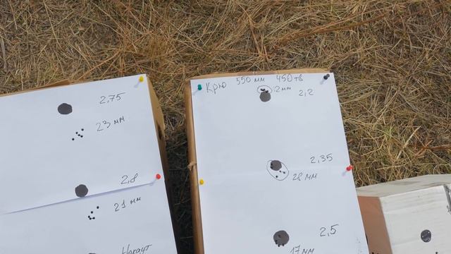 Пробный отстрел Slugов 6.35 от Макса, с разных стволов смотреть онлайн