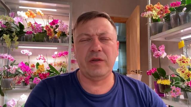гложет ПАПУ ЧЕРВЯК и ЖАДНОСТЬ? смотреть онлайн