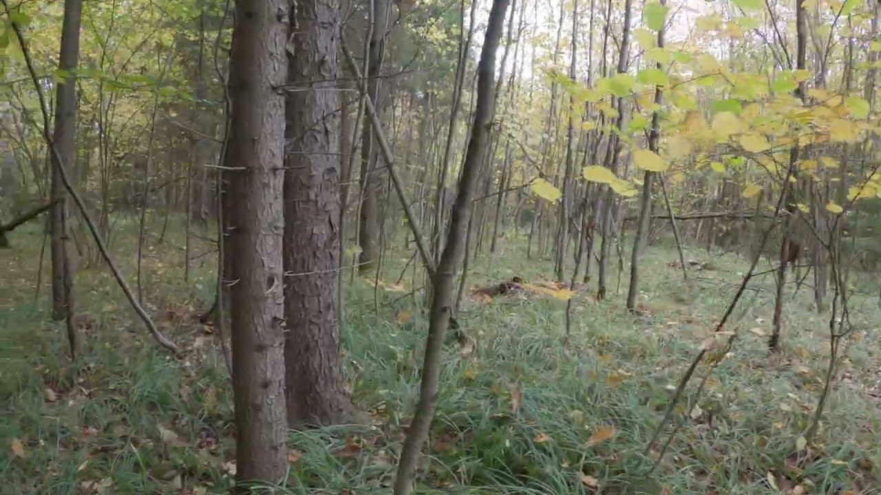 7.10.2022_3 смотреть онлайн