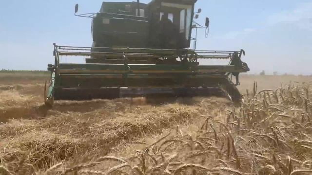 Уборка пшеницы 2022 г. ДОН-1500Б. смотреть онлайн