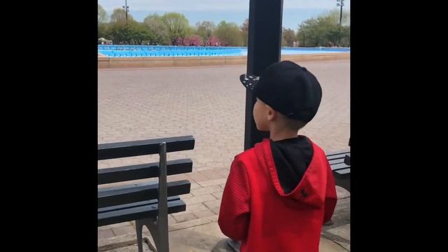 #Shorts Приключения Роберта. Парк в Нью-Йорке. смотреть онлайн