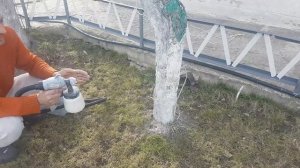 Покраска  деревьев краскопультом СТАВР. ВЕСНА 2020 Г.