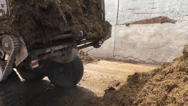Выехали на посевную кукурузы, транспортировка сенажа! смотреть онлайн