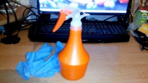 Как избавиться от блох в квартире раз и навсегда