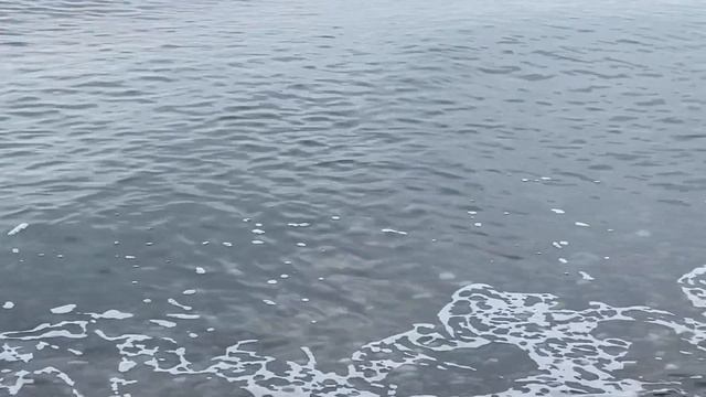 25.12.2022. Погода в Сочи в декабре. Смотри на Чёрное море каждый день. смотреть онлайн