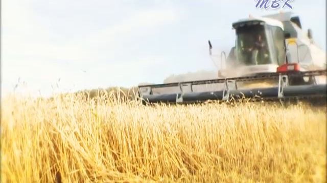 Урожай 2013 г. смотреть онлайн