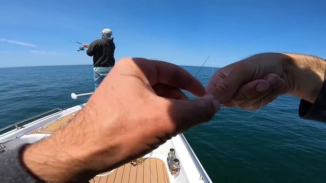 Big One On The Jig!! Spring Light Tackle Jigging and Fly Fishing Bite смотреть онлайн