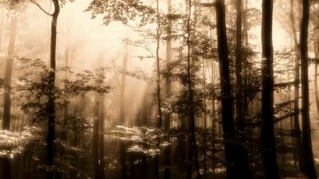 Белой акации гроздья душистые Moonsorrow Matkan Lopussa смотреть онлайн