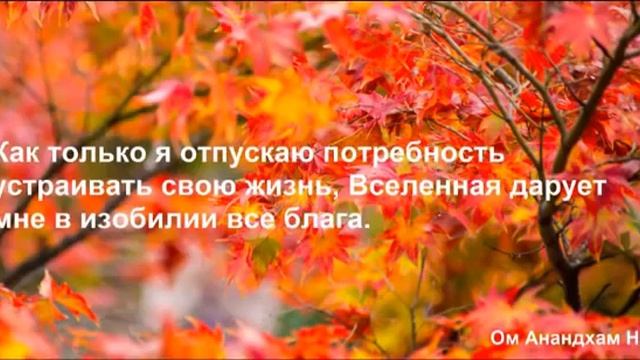 День 13. Медитация Изобилия. Дипак Чопра смотреть онлайн