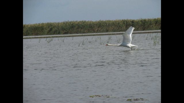 Астрахань. смотреть онлайн