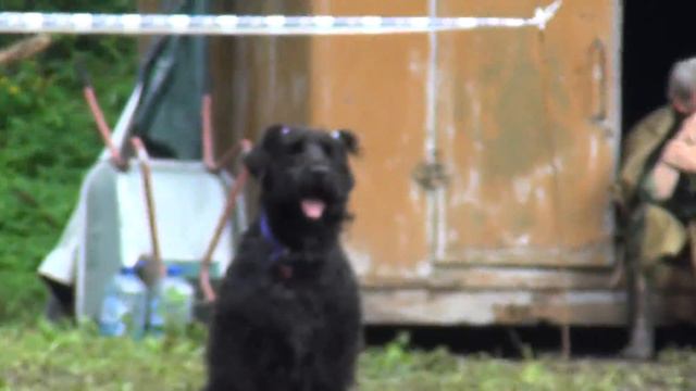 Наташа и Фронда