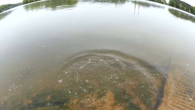 Top 10 Reasons to Buy a CHEAP Baitcaster after 1 Month of Testing!!! смотреть онлайн