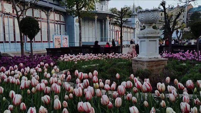Пятигорск, парк Цветник, цветение тюльпанов (апрель 2023 года) смотреть онлайн