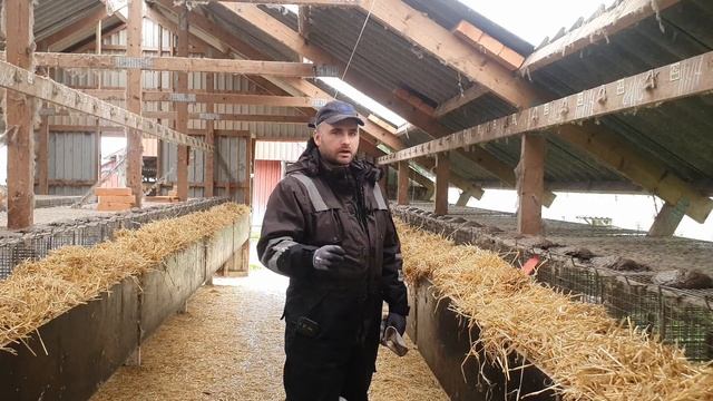 Практика в Дании ?Норки? Работа на ферме смотреть онлайн