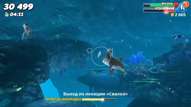 ЭВОЛЮЦИЯ АКУЛЫ В МЕГАЛОДОНА, САМАЯ БОЛЬШАЯ АКУЛА | Hungry Shark World