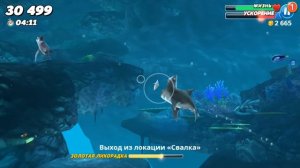 ЭВОЛЮЦИЯ АКУЛЫ В МЕГАЛОДОНА, САМАЯ БОЛЬШАЯ АКУЛА | Hungry Shark World