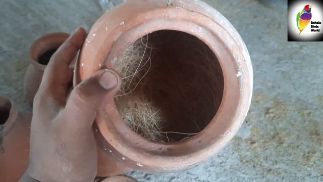 New Java Colony Setup || Matki provided to Java Birds #Java #Setup #colony смотреть онлайн