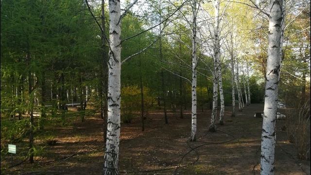 ВОСХИТИТЕЛЬНАЯ РЕАЛЬНОСТЬ...ПАРК САНАТОРИЯ "ВОЛГОГРАД" ( часть 2). смотреть онлайн