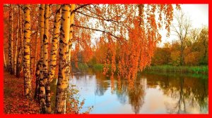 СТАРОЕ ДОБРОЕ РЕТРО!  - ДИСКО ГРУППА СТУДИЯ 80 - ОСЕНЬ - КРАСИВАЯ ТАНЦЕВАЛЬНАЯ ПЕСНЯ!