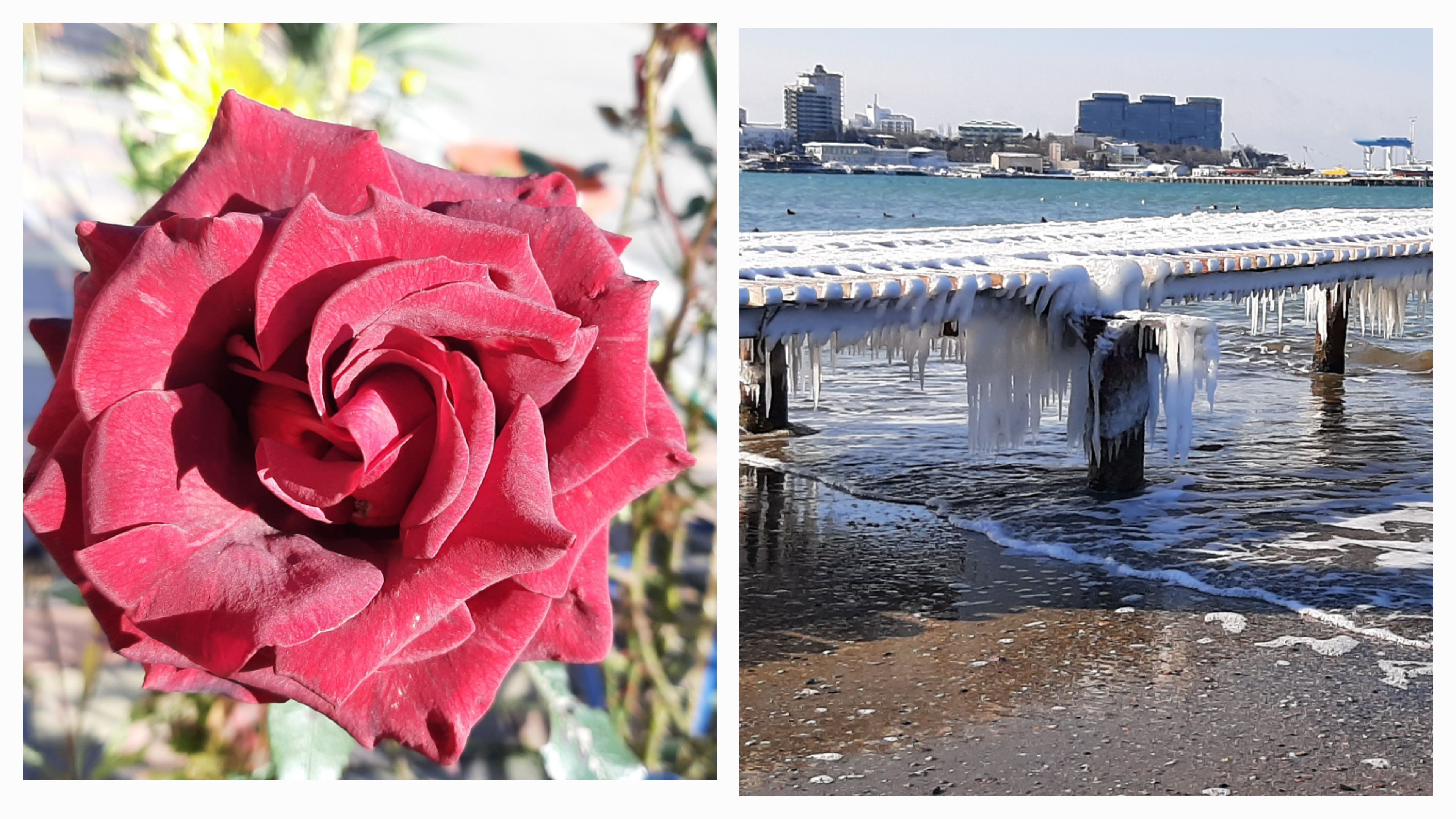 Контрасты зимней Анапы смотреть онлайн