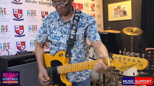 Ibanez 850 Fuzz Mini смотреть онлайн