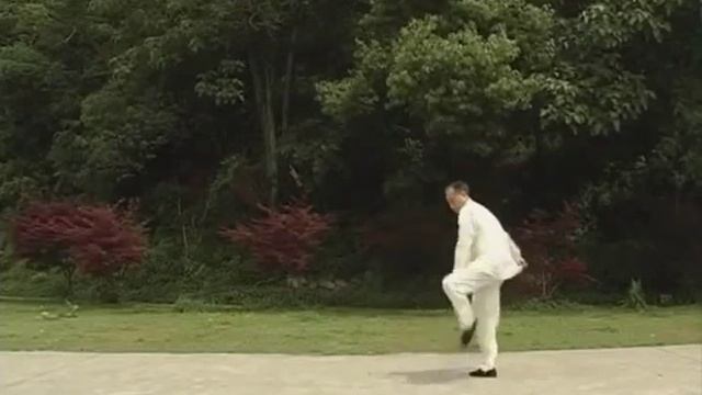 Traditional Martial Arts of Wuhan city смотреть онлайн