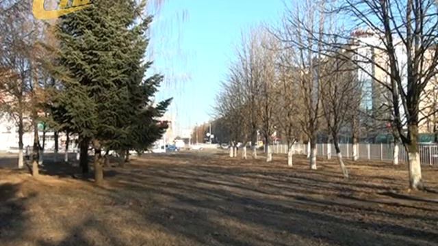 О ПРОГРАММЕ ОЗЕЛЕНЕНИЯ В ЖЕЛЕЗНОГОРСКЕ смотреть онлайн