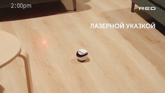 Умный робот-друг REDDY AIR смотреть онлайн