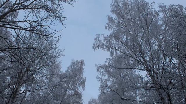 Умчи меня, лесной олень, туда, где счастье... смотреть онлайн