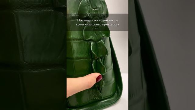 Сумки из натуральной кожи крокодила, шоурум в СПб смотреть онлайн
