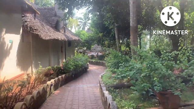 Аюрведа в Индии, госпиталь для души, Керала 2022 часть 1 смотреть онлайн