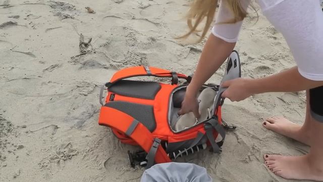 Фоторюкзак Photo Hatchback AW от Lowepro смотреть онлайн