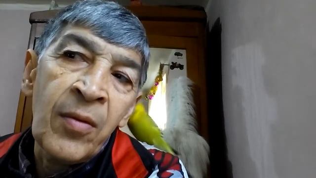 Самиый умный попугай кеша