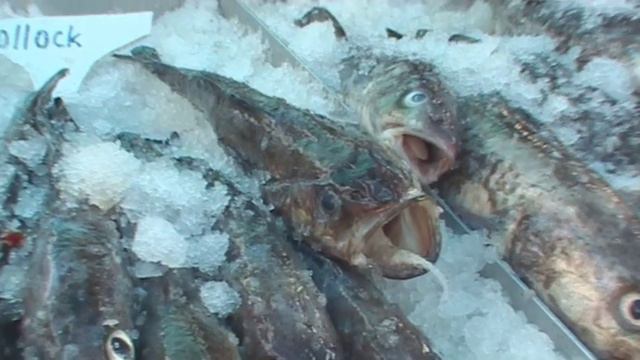 Рыбный рынок в пригороде Ванкувера смотреть онлайн