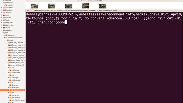 demonstration of imagemagick filter and file rename смотреть онлайн