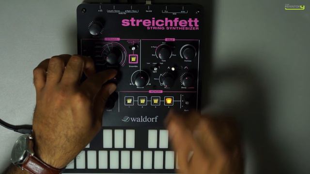 Using Waldorf Streichfett for making House Music Chords and Stabs смотреть онлайн