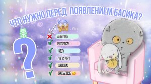 Что нужно перед появлением Басика?