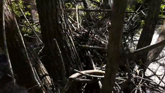 Красивая меча 4 смотреть онлайн