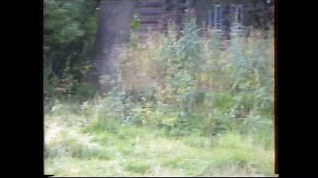 село Колягино 13 сентября 1994г смотреть онлайн